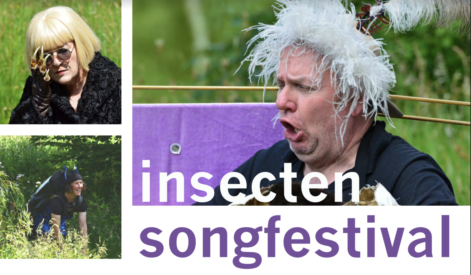 Insecten songfestival