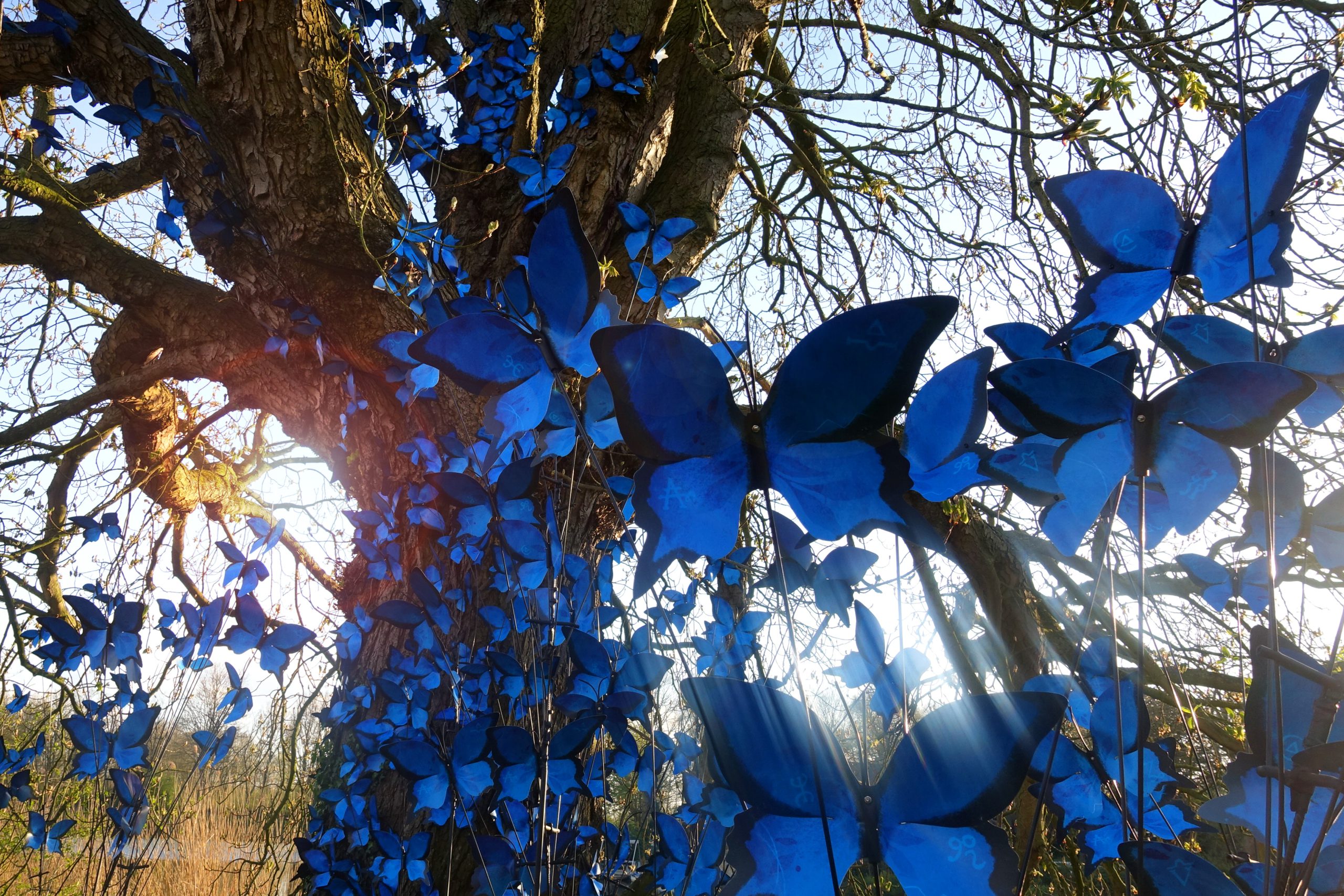 Kunstinstallatie Zazzu – Nectar