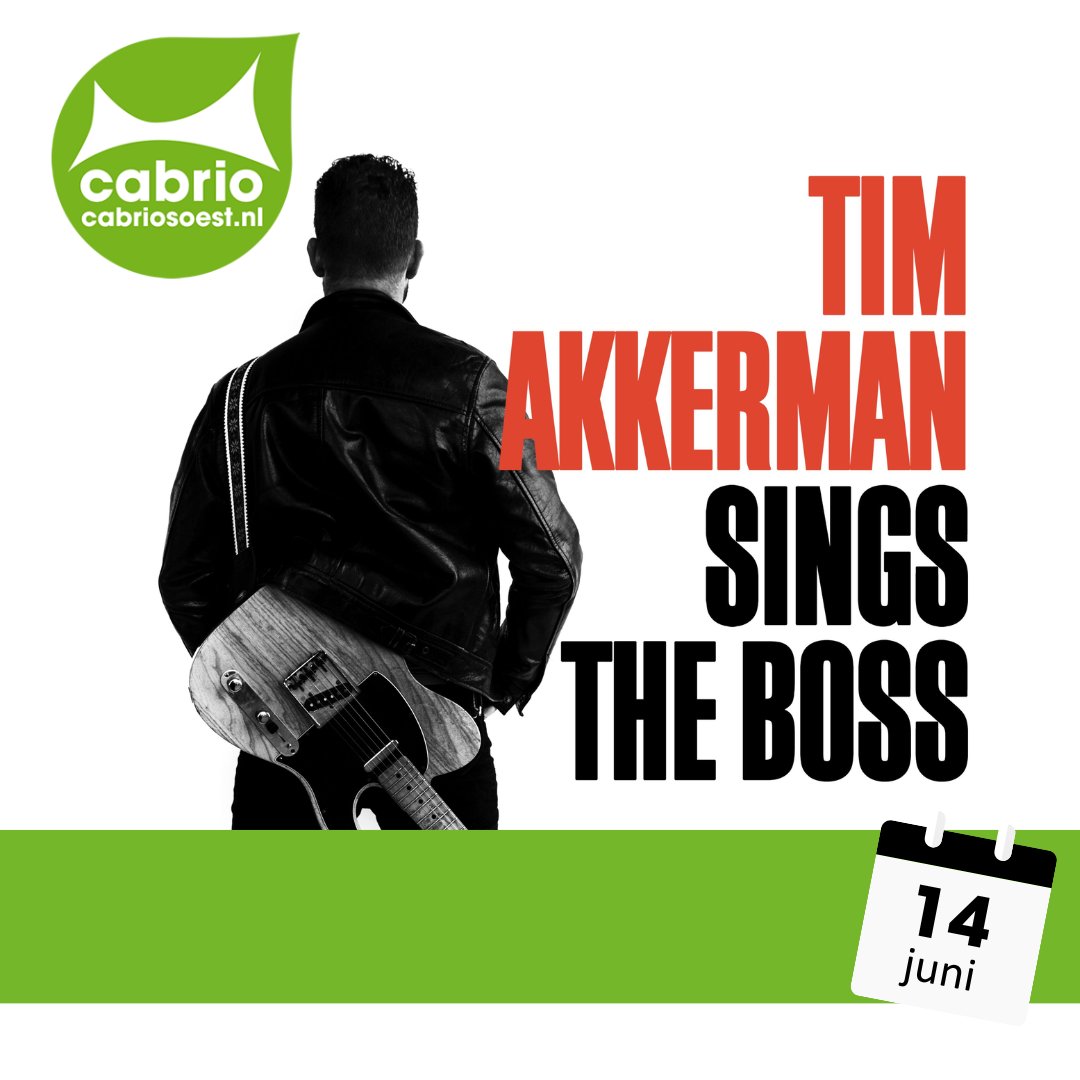 Tim Akkerman Sings the Boss