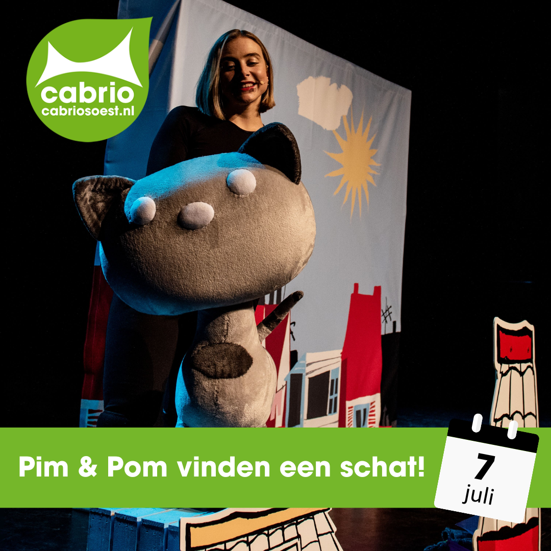 Pim & Pom vinden een schat!