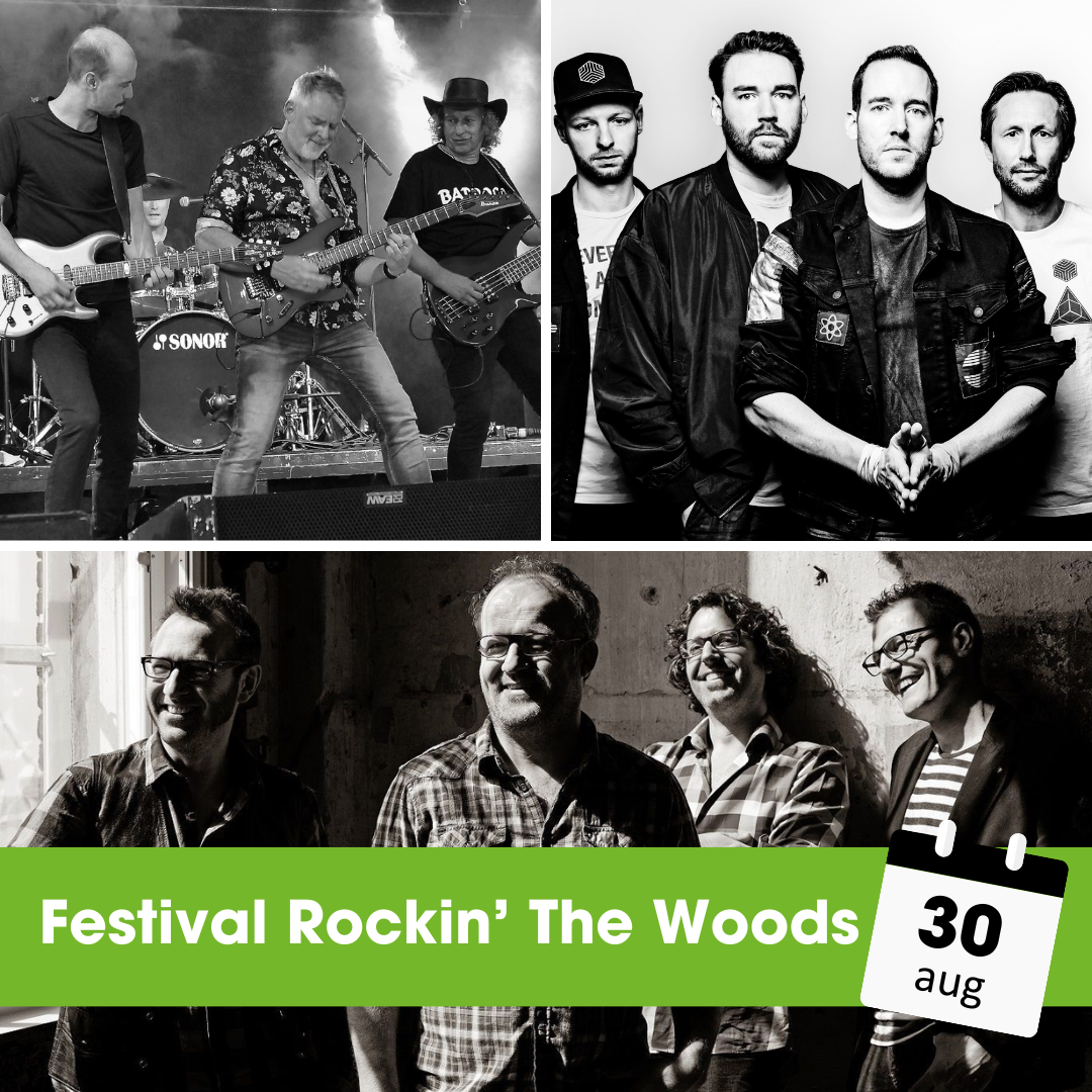 Festival Rockin’ The Woods