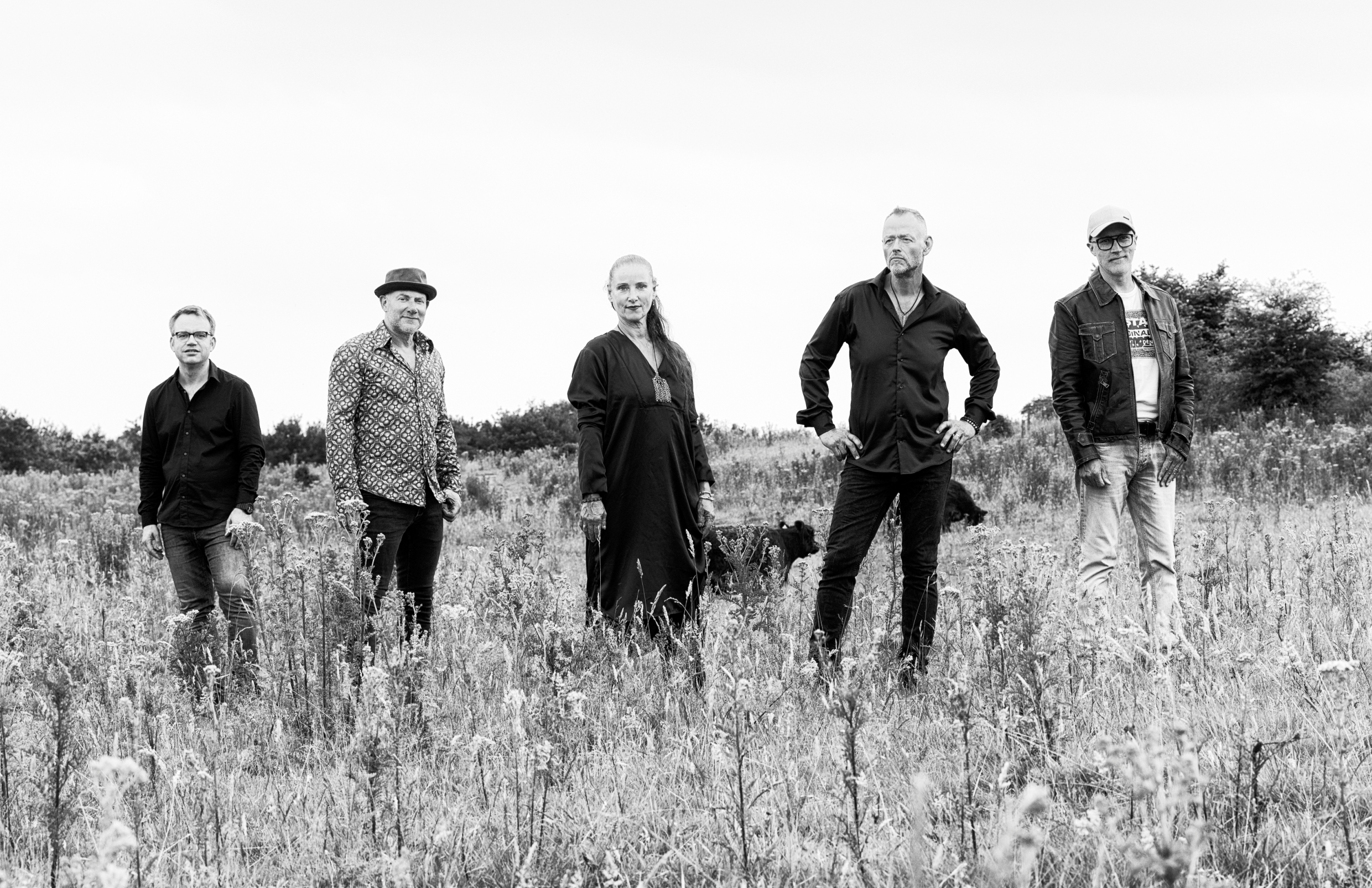 Frank van Essen & Wild Goose: eerbetoon aan IONA